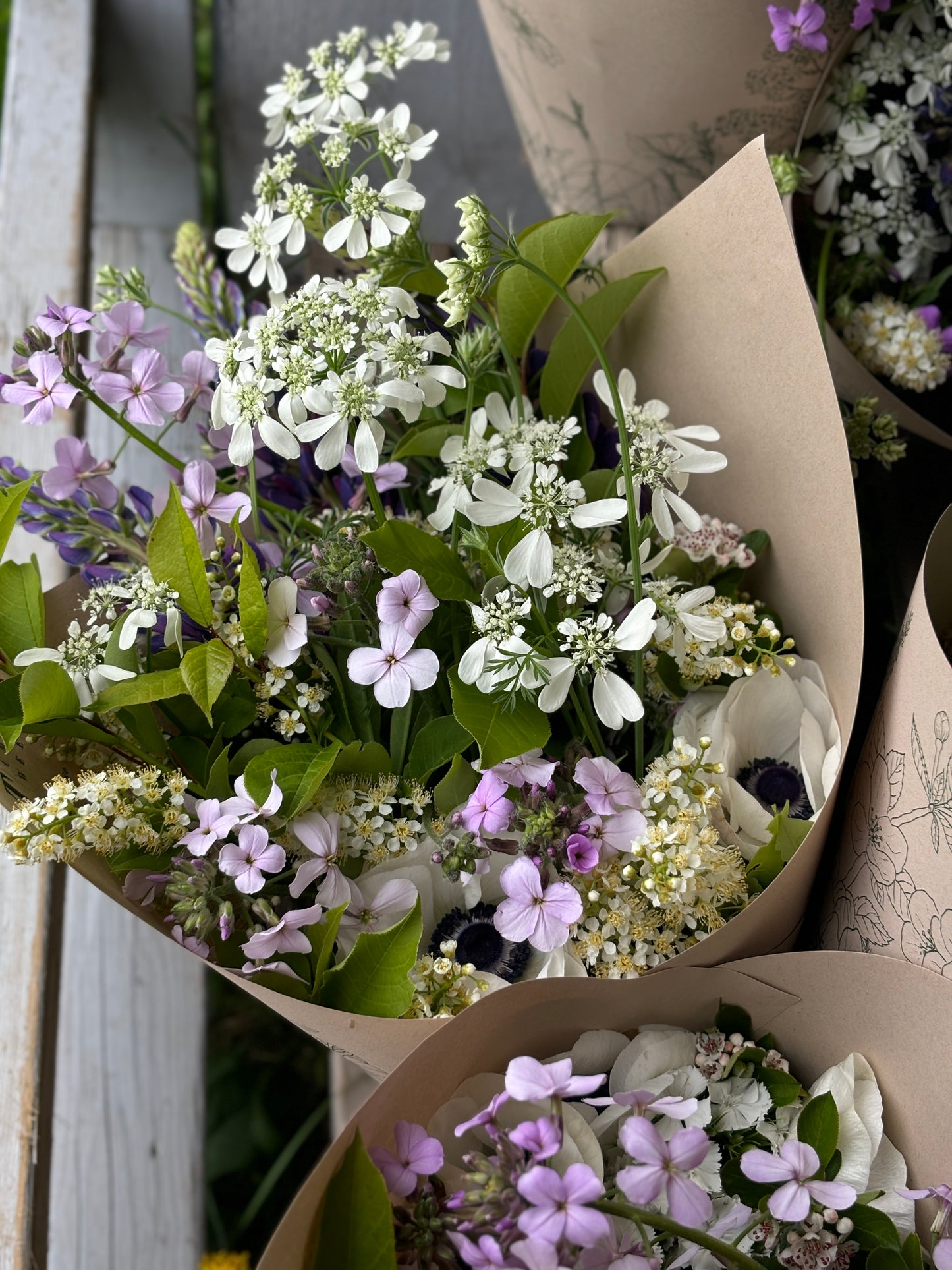 Sweet Rocket Soft Mauve