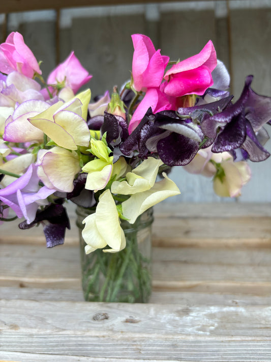 Sweet peas