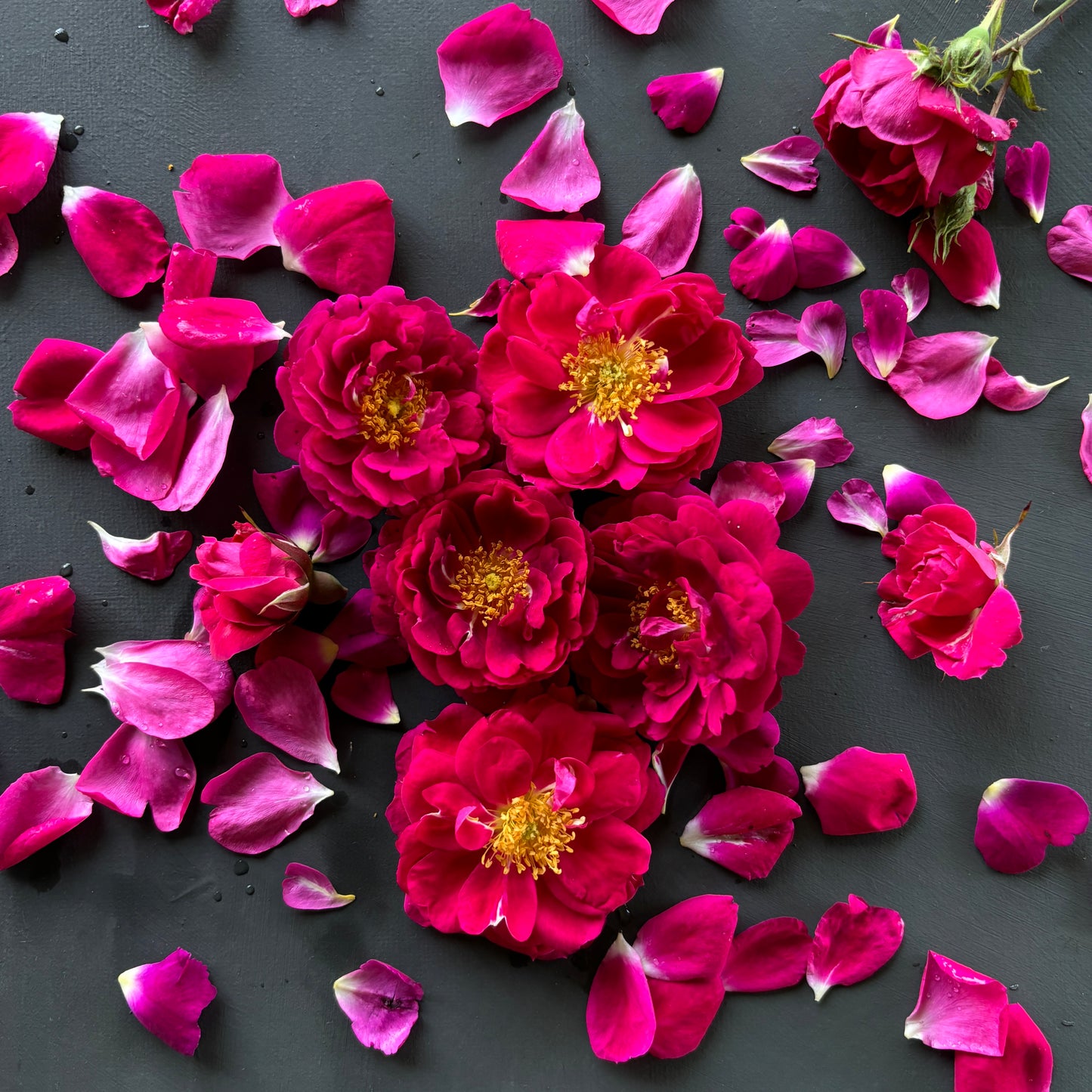 Wedding Cake Flowers