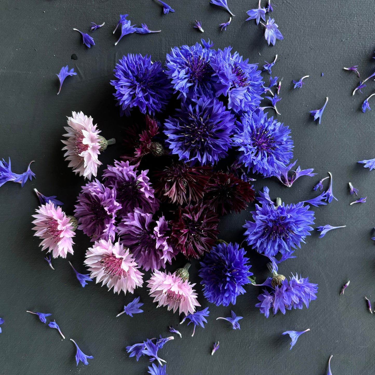 Wedding Cake Flowers