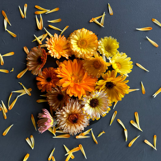Calendula Mix